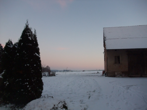 DSCF7374