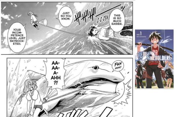 UQ Holder