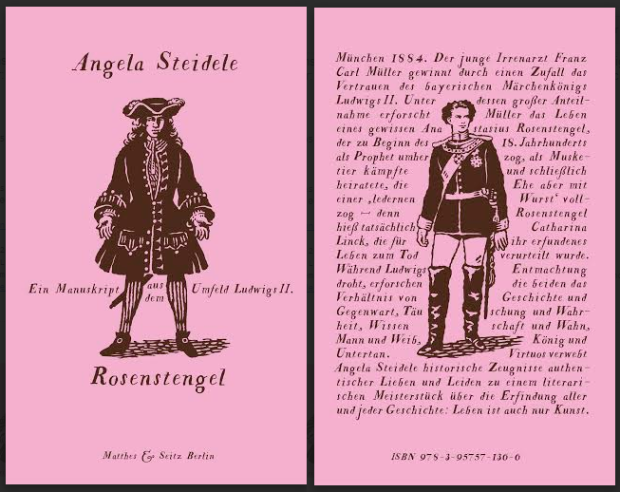 Cover und Backcover von Angela Steideles Roman "Rosenstengel", erschienen bei Matthes und Seitz