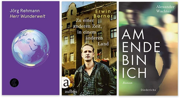 19 2020 Bücher des Jahres, Romane des Jahres - Jörg Rehmann, Erwin Berner, Alexander Wachter