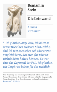 Benjamin Stein: Die Leinwand - Amnon Zichroni