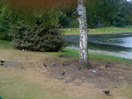 Antwerpen Stadspark