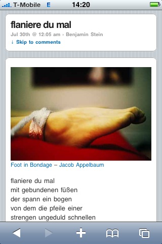Turmsegler auf dem iPhone (Post)