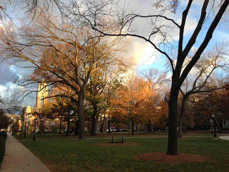 University of Chicago Campus