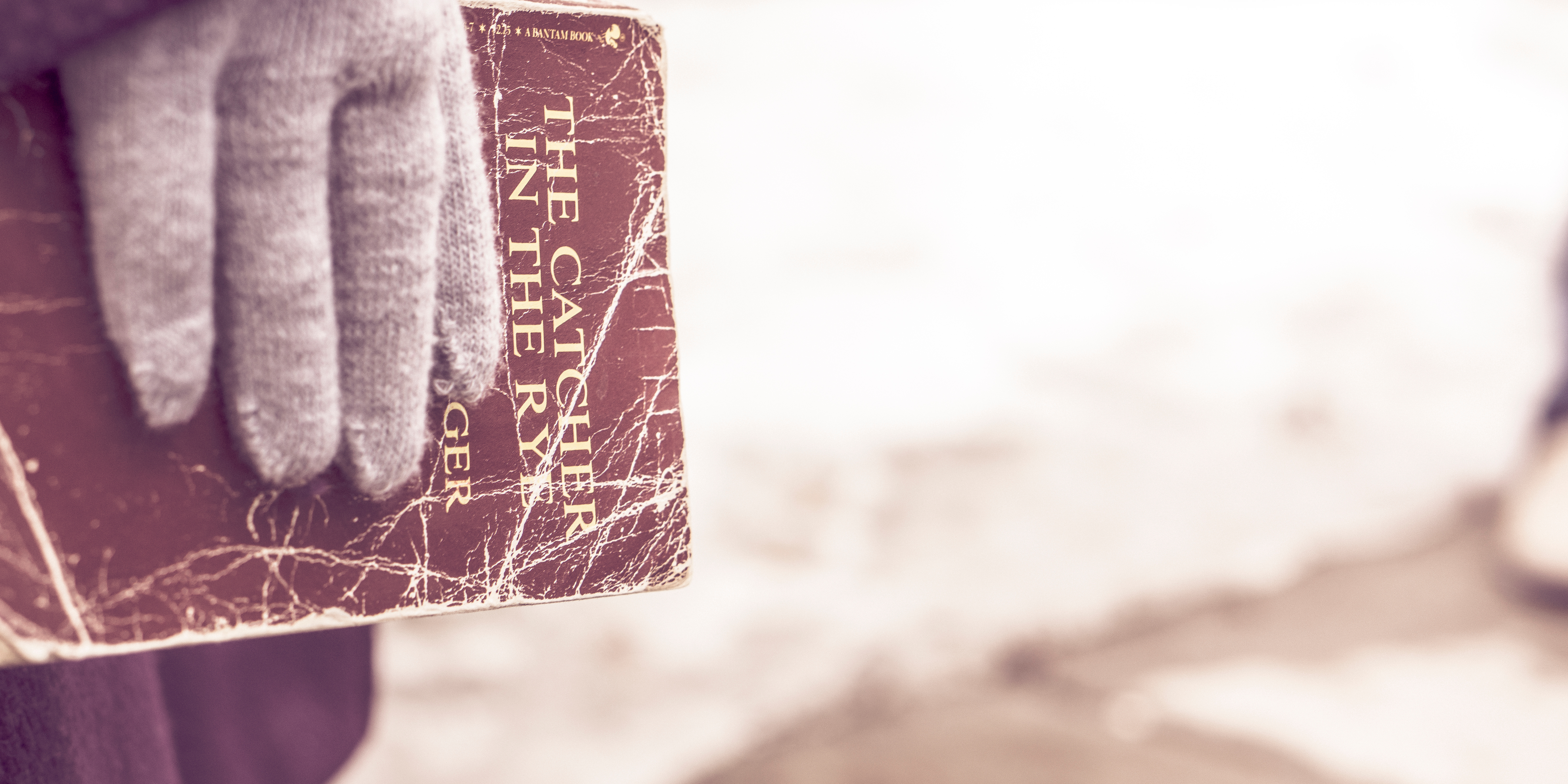 Hanjo Kesting - Große Romane der Weltliteratur - Erfahren, woher wir kommen