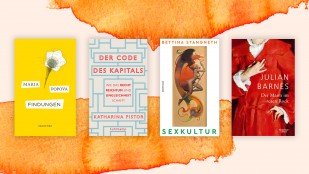 Februar Sachbuchbestenliste (Deutschlandradio / Diogenes, Suhrkamp, Rowohlt, Kiwi)