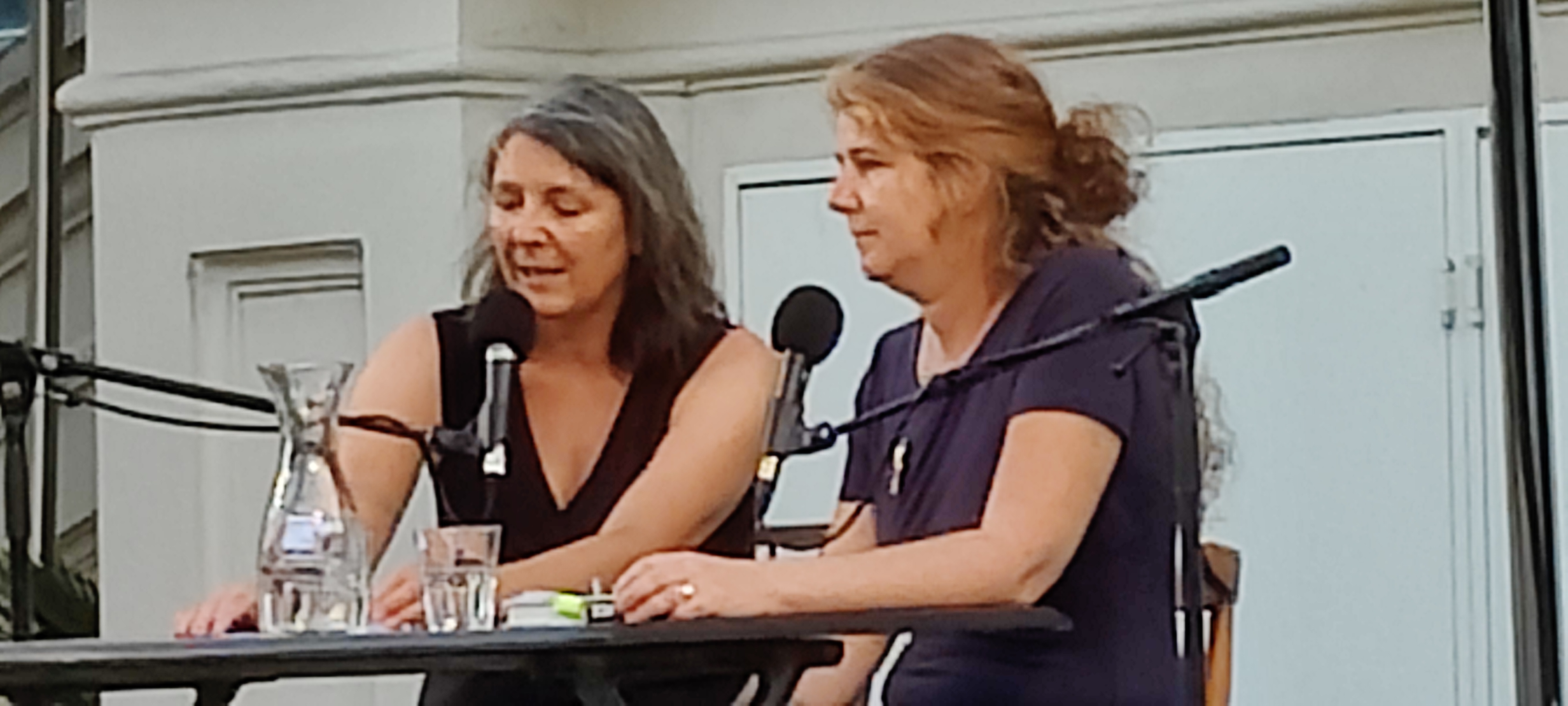 Alexandra Millner, Renate Silberer