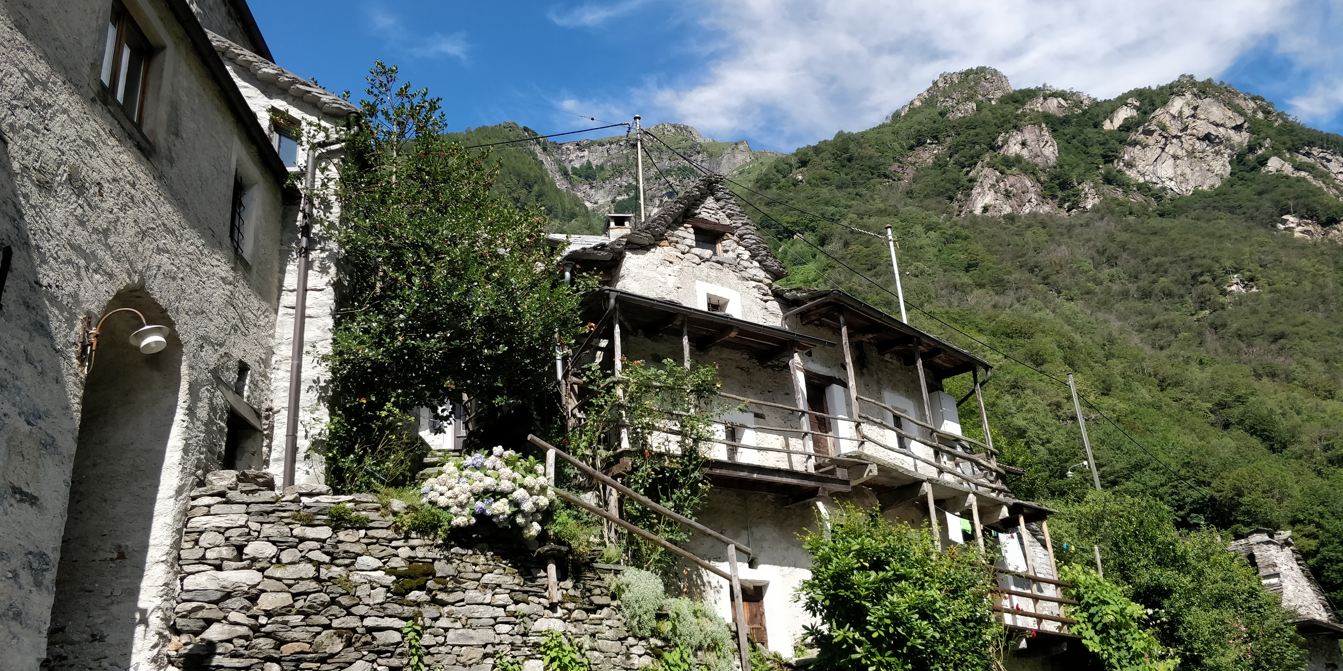 Corippo