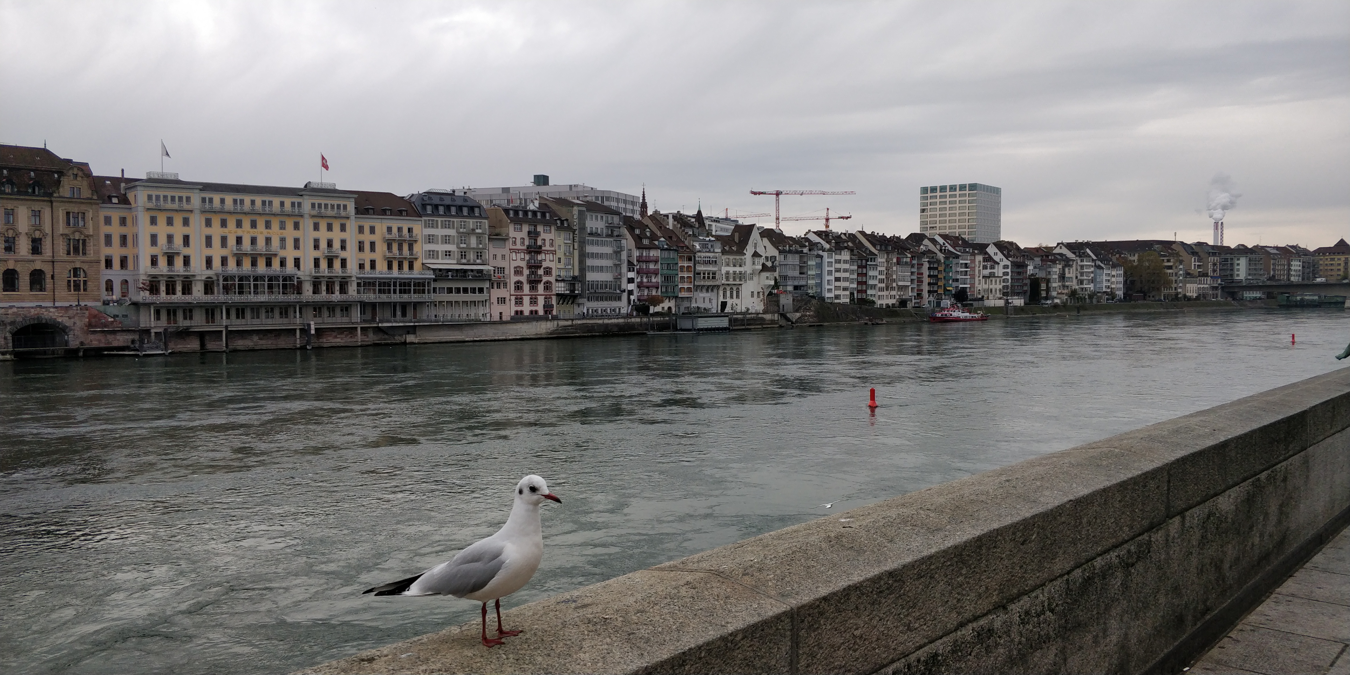 lick auf Basel