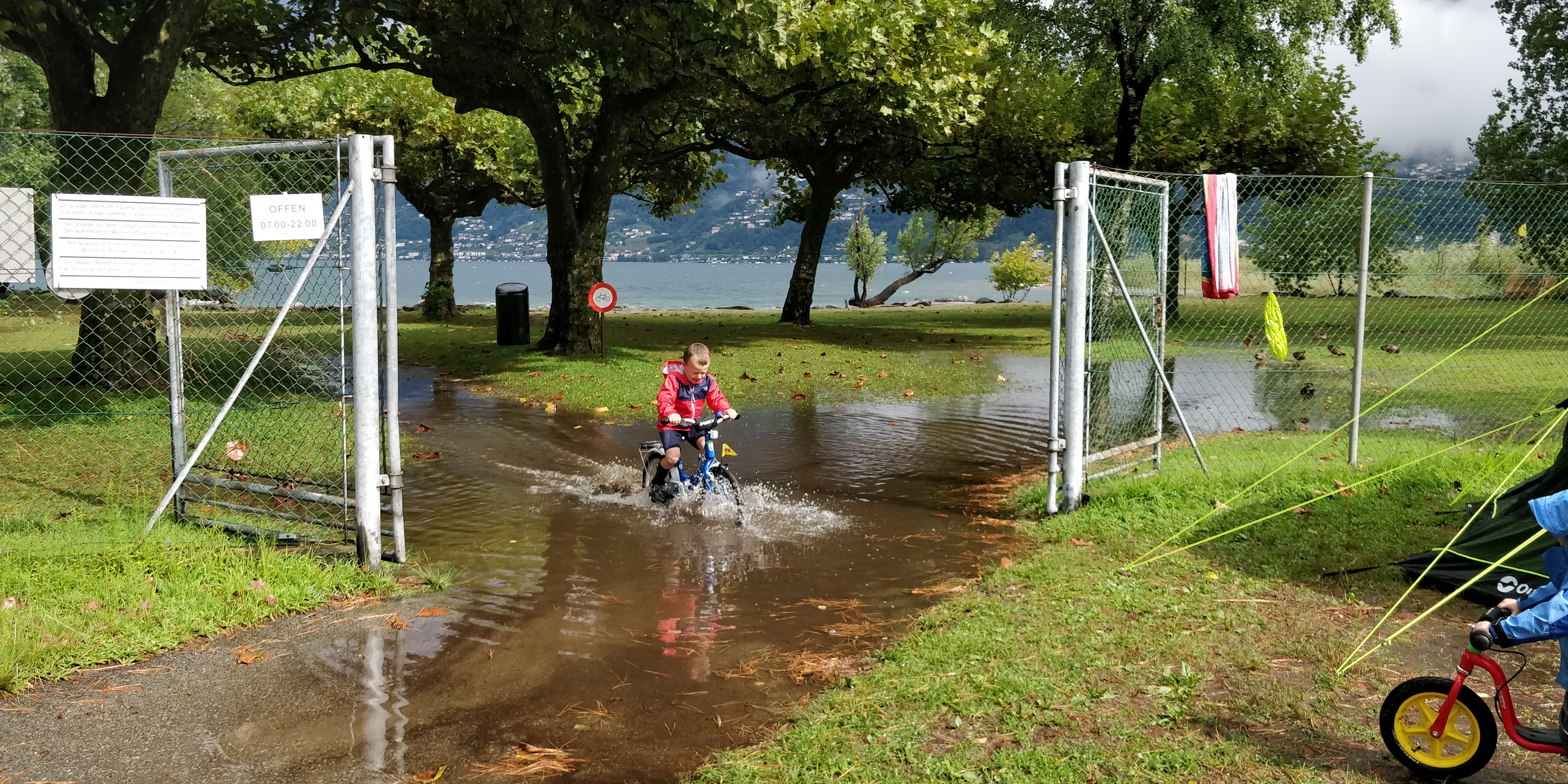 Regenreste