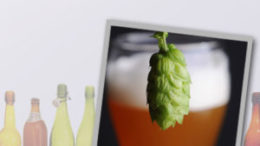 Reinheitsgebot