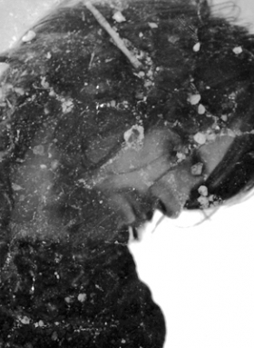 Martin Holz