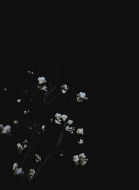 Foto: via unsplash masaaki pakhu