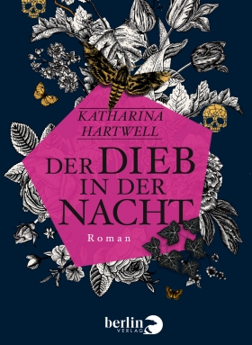 Der Dieb in der Nacht