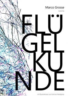 Flügelkunde, Marco Grosse, Fixpoetry bei Horlemann