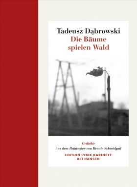 Die Bäume spielen Wald, Dabrowski, Edition Lyrik Kabinett bei Hanser
