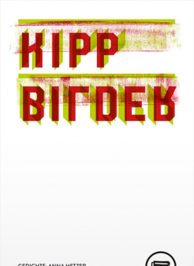 Kippbilder, Anna Hetzer, Verlagshaus Berlin 2019