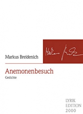 Anemonenbesuch