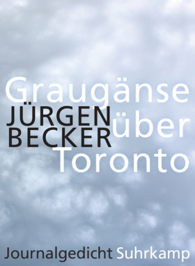 Graugänse über Toronto - Journalgedicht