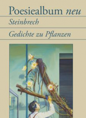 Poesiealbum neu / Steinbrech. Gedichte zu Pflanzen