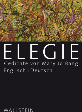 Elegie, Mary Jo Bang, Wallstein 2018