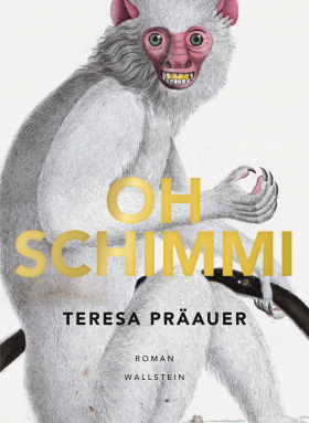 Oh Schimmi