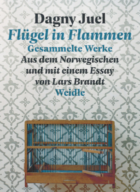 Flügel in Flammen