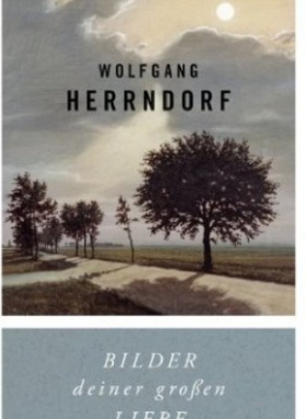 Bilder deiner großen Liebe, Wolfgang Herrndorf