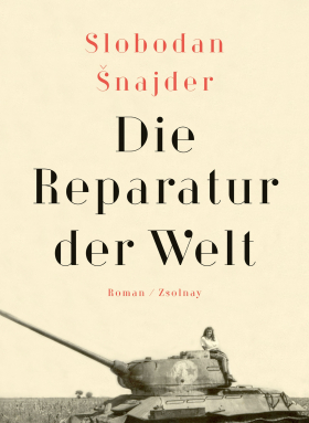Die Reparatur der Welt, Zsolnay 2019