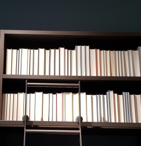 My white male bookshelf steht in einem Möbelladen in Hamburg, Foto: Julietta Fix