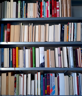 my white male bookshelf steht bei Lena Vöcklinghaus, Autorin und Gegenwartsliteraturwissenschaftlerin