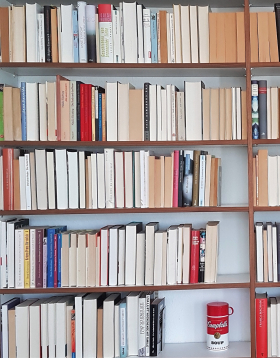 my white male bookshelf steht bei julietta fix