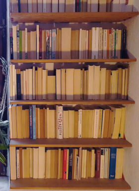 My white male bookshelf  bei Philipp Scholtysik; Autor, Dramaturg.