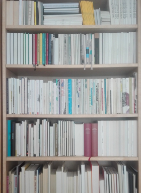 my white male bookshelf steht bei Tristan Marquardt, Lyriker