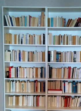 My white male bookshelf steht bei Eva-Maria Kaufmann, Lektorin