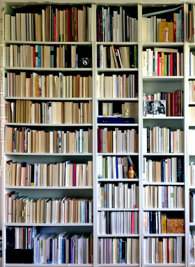 My white male bookshelf steht bei Andrea Schmidt, Verlegerin im Verlagshaus Berlin