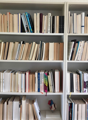 My white male bookshelf steht bei Jörn Dege, Mitherausgeber der Buchreihe „Volte" und Geschäftsführer am Deutschen Literaturinstitut Leipzig