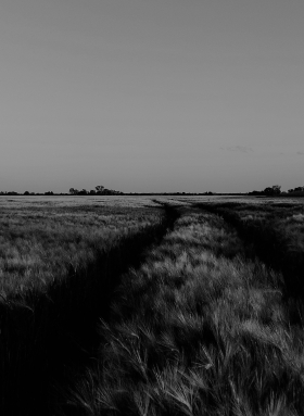 foto via unsplash marina mazur, thanx a million