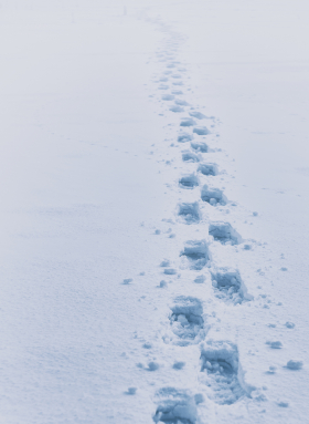 foto via unsplash eberhard grossgasteiger, thanx a million