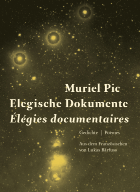 Muriel Pic, Elegische Dokumente, Wallstein 2018