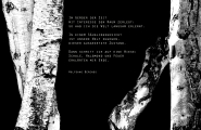 Poetryletter 229, Wolfgang Berends, Korinna Feierabend