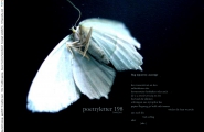 Poetryletter 198, Sophie Reyer, Sabine Georg, Korinna Feierabend