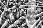Poetryletter 194, Angelika Janz, Jörg Erb, Korinna Feierabend