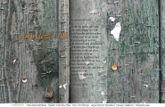 Poetryletter 196, Christine Hoba, Iris Thürmer, Korinna Feierabend