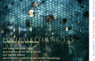 Poetryletter 115, Julietta Fix, Carmen Renn, Korinna Feierabend