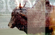 Poetryletter 145, Christoph Leisten, Oliver Tiemann, Korinna Feierabend