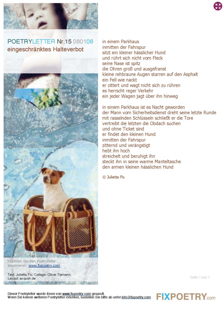 Poetryletter 15, Julietta Fix, Oliver Tiemann