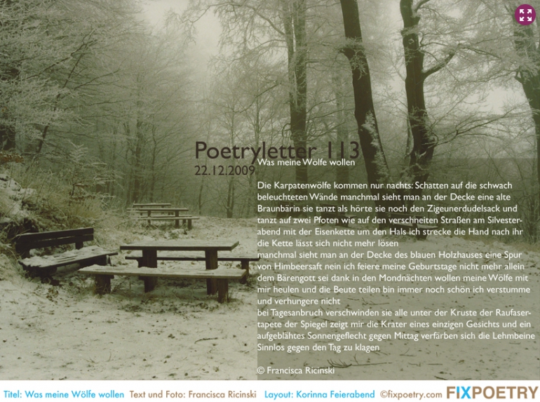 Poetryletter 113, Francisca Ricinski, Korinna Feierabend
