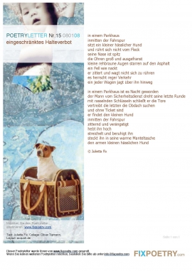 Poetryletter 15, Julietta Fix, Oliver Tiemann