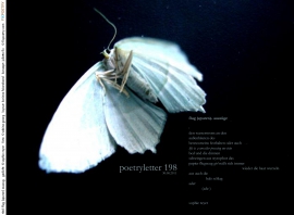 Poetryletter 198, Sophie Reyer, Sabine Georg, Korinna Feierabend